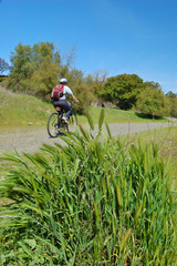 Obraz premium on the trail