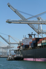 Fototapeta premium shipping