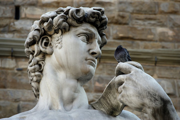 david talking to a pigeon - 841295