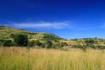 Foto op Plexiglas Donkerblauw african landscape