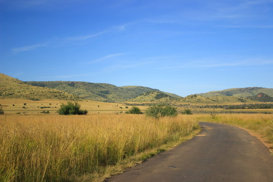 country road