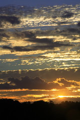 Obraz premium african sunset