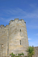 Fototapeta na wymiar stirling castle in scotland