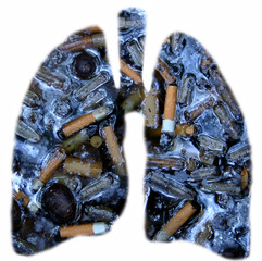 smokers lungs