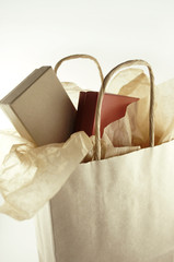 shopping bag