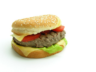 hamburger 5