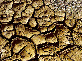 aridity