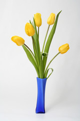 bouquet tulip