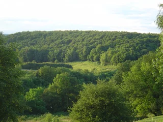 Tafelkleed paysage vert © Herwech
