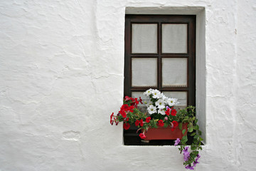 Fototapeta na wymiar old window 1