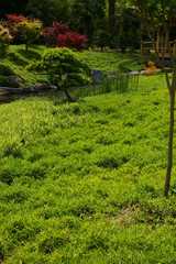 jardin verdoyant