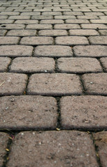 brick pathway