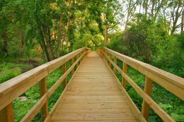 wooden path