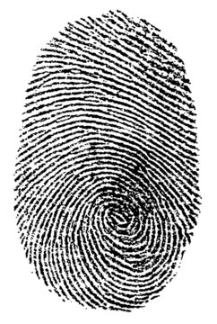 Finger Print