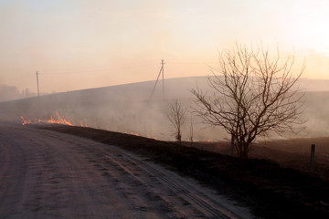 fire in the field