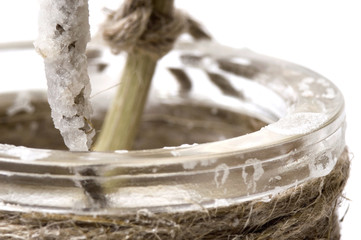 salt. crystalization. experiment