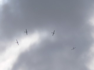 gliders