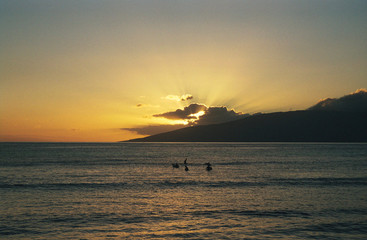 maui sunset, hawaii