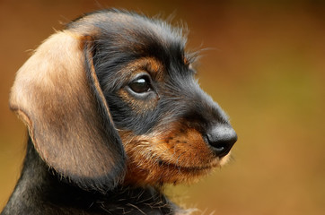 my cute little friend