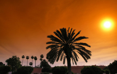 Obraz premium remparts de marrakech
