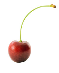 single cherry