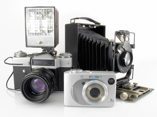 alternation of generations