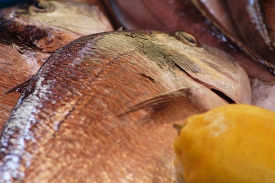 poisson frais