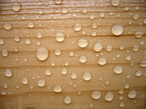 timber background - Powered by Adobe