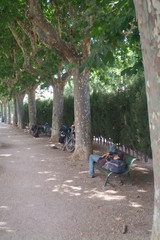 sieste dans un parc