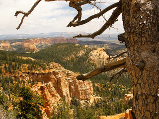 bryce canyon: from piracy point