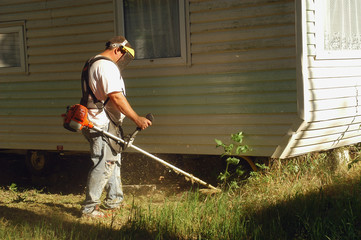 le d&eacute;broussaillage