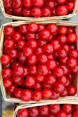 basket of cherries