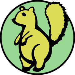 squirrel