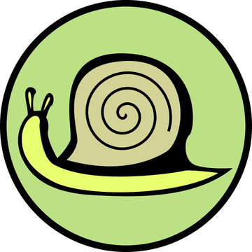 snail