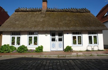 unterwegs in maasholm/ostsee