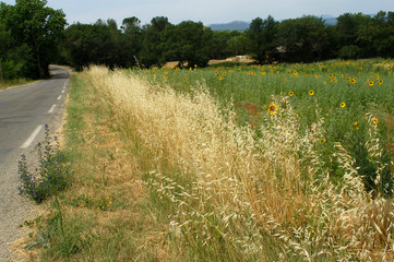 au bord de la route