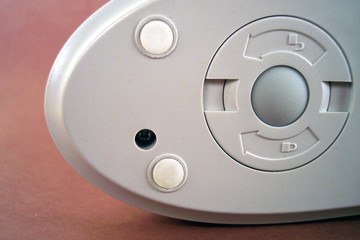 bottom of a mouse
