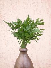 parsley