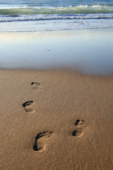 early morning footprints