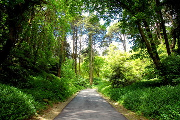 park way
