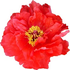 vermillon