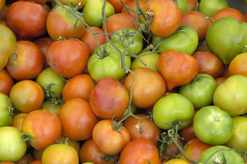 tomates