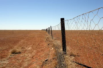 Crédence de cuisine en verre imprimé Australie australian outback dingo fence