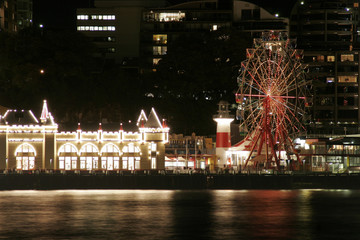 ferry wheel at night
