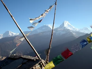 Rolgordijnen vue depuis poon hill - népal © labelverte