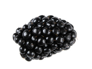 black rasberry