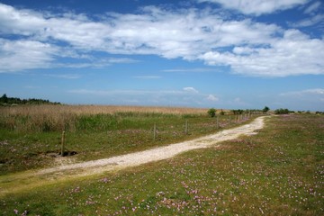 weg zum strand