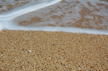 Fototapeta na wymiar shells on sea beach