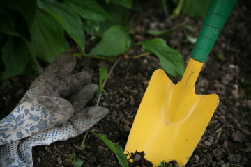 gartenarbeit