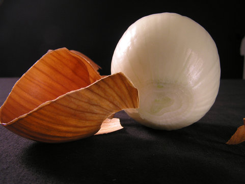 zwiebel